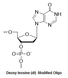 Bio-Synthesis Inc. Oligo Structure